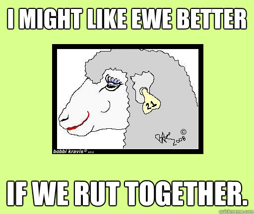 I might like ewe better if we rut together. - I might like ewe better if we rut together.  sheila the ruminating sheep