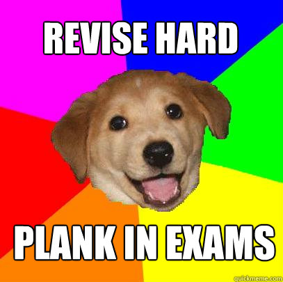 revise hard plank in exams  Advice Dog