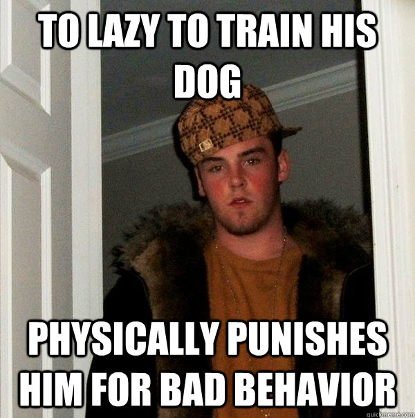 to lazy to train his dog  physically punishes him for bad behavior  Scumbag Steve