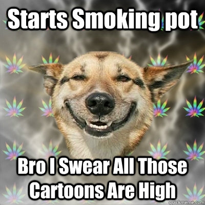 Starts Smoking pot Bro I Swear All Those Cartoons Are High  Stoner Dog