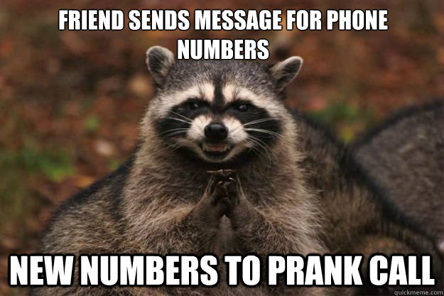 Friend sends message for phone numbers New numbers to prank call - Friend sends message for phone numbers New numbers to prank call  Evil Plotting Raccoon