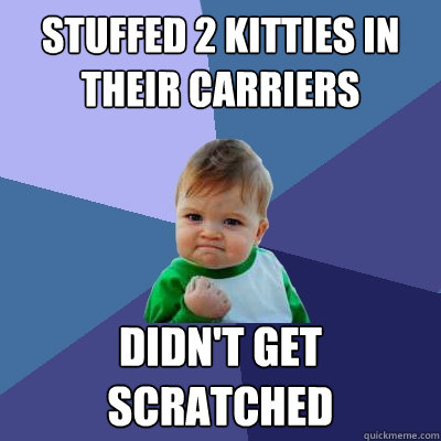 Stuffed 2 kitties in their carriers didn't get scratched  Success Kid