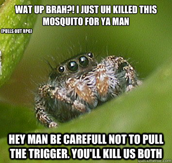 Wat up brah?! i just uh killed this mosquito for ya man hey man be carefull not to pull the trigger. you'll kill us both (pulls out rpg)  Misunderstood Spider