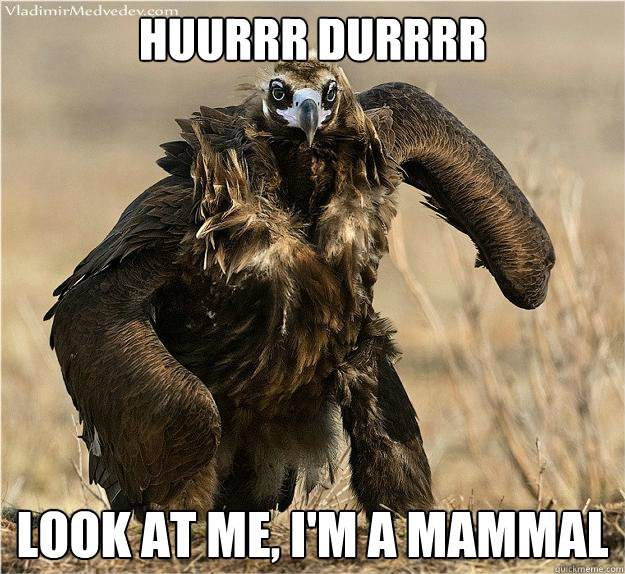 HUURRR DURRRR LOOK AT ME, I'M A MAMMAL - HUURRR DURRRR LOOK AT ME, I'M A MAMMAL  Misc