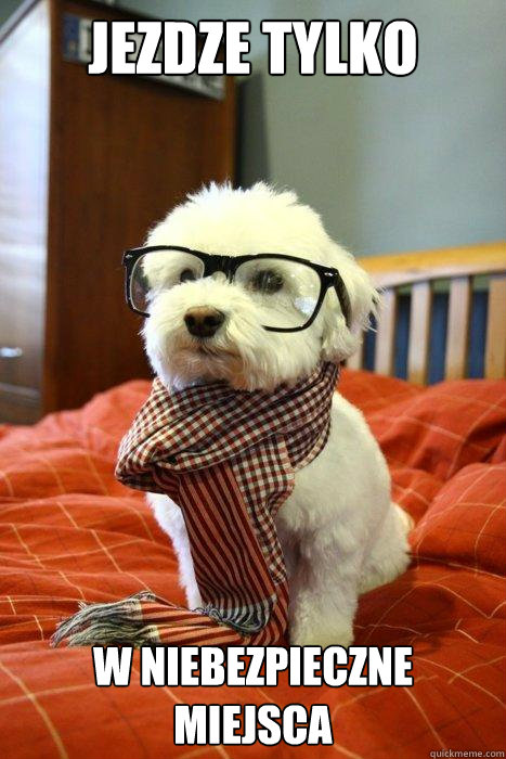 JEZDZE TYLKO W NIEBEZPIECZNE MIEJSCA  Hipster Dog