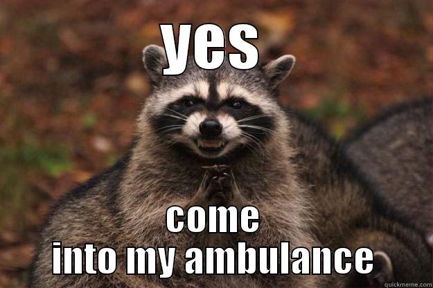 YES COME INTO MY AMBULANCE Evil Plotting Raccoon