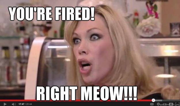 You're FIRED!   right meow!!! - You're FIRED!   right meow!!!  Crazy Amy