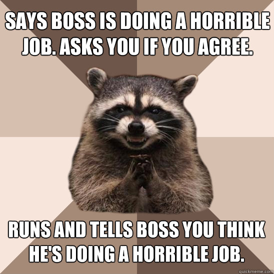 Says boss is doing a horrible job. Asks you if you agree. runs and tells boss you think he's doing a horrible job.  Evil Plotting Raccoon