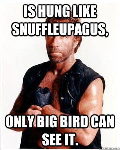 is hung like Snuffleupagus,  only Big Bird can see it.  - is hung like Snuffleupagus,  only Big Bird can see it.   Anti-Chuck Norris Facts