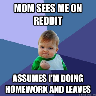 Mom sees me on Reddit assumes I'm doing homework and leaves  Success Kid