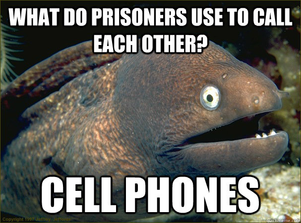 What do prisoners use to call each other? cell phones  Bad Joke Eel