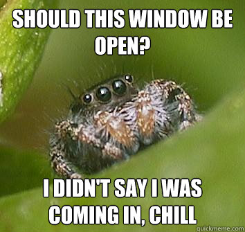 should this window be open? i didn't say i was coming in, chill  Misunderstood Spider