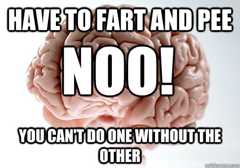 HAVE TO FART AND PEE YOU CAN'T DO ONE WITHOUT THE OTHER NOO!  Scumbag Brain