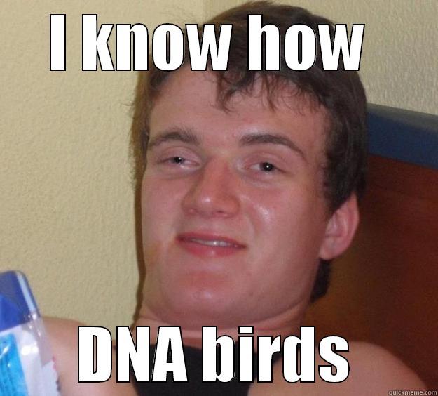 I KNOW HOW  DNA BIRDS 10 Guy