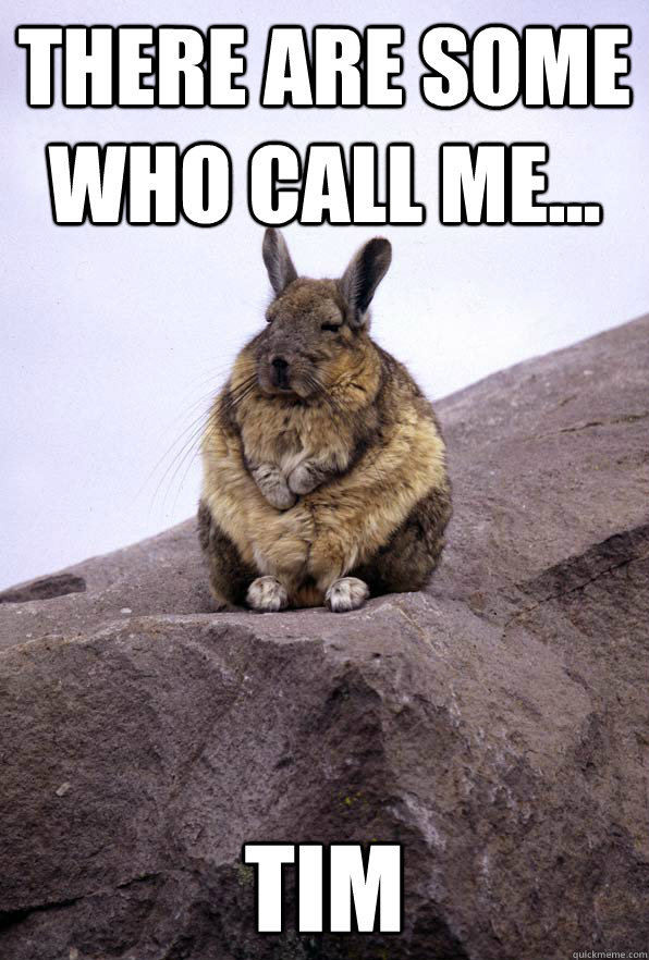 There are some who call me... TIM  Wise Wondering Viscacha