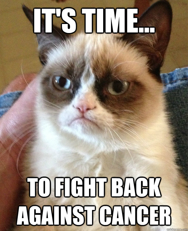 It's Time... To FIght back against cancer  Grumpy Cat