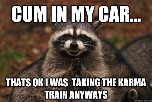 CUM IN MY CAR... tHATS OK i WAS  TAKING THE KARMA TRAIN ANYWAYS  Evil Plotting Raccoon