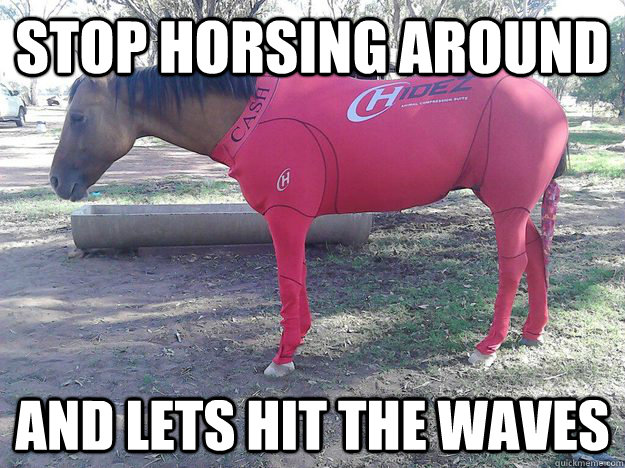 stop horsing around and lets hit the waves - stop horsing around and lets hit the waves  surf horse