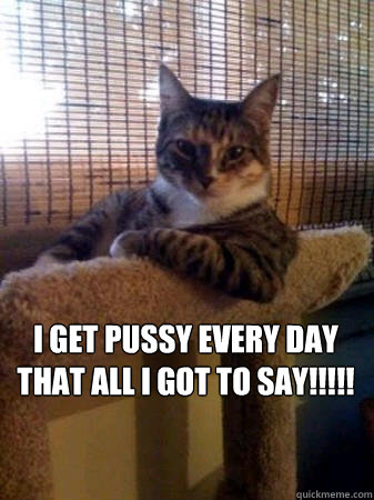 i get pussy every day that all i got to say!!!!!   The Most Interesting Cat in the World