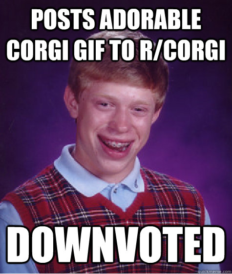 Posts adorable corgi gif to r/corgi downvoted  Bad Luck Brian