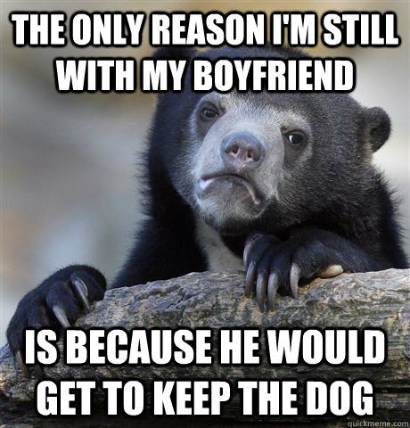 The only reason i'm still with my boyfriend is because he would get to keep the dog  Confession Bear