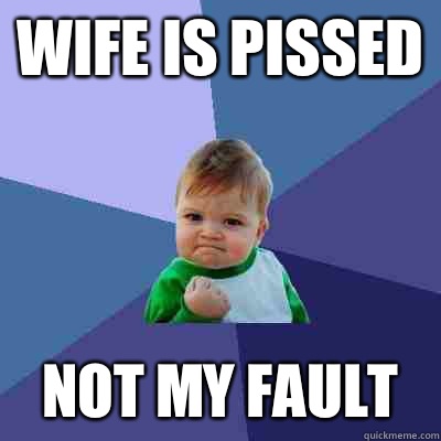 Wife is pissed not my fault  Success Kid