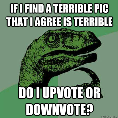 if i find a terrible pic that i agree is terrible Do i upvote or downvote?  Philosoraptor