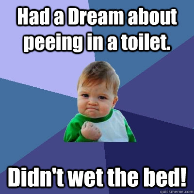 Had a Dream about peeing in a toilet. Didn't wet the bed!  Success Kid