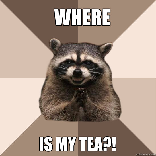 where is my tea?!  Evil Plotting Raccoon