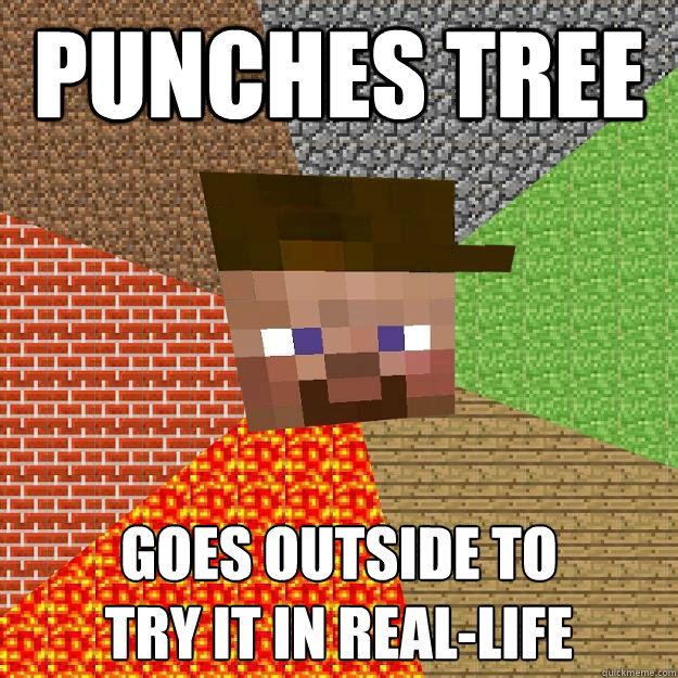 Punches tree GOES OUTSIDE TO
TRY IT IN REAL-LIFE  Scumbag minecraft