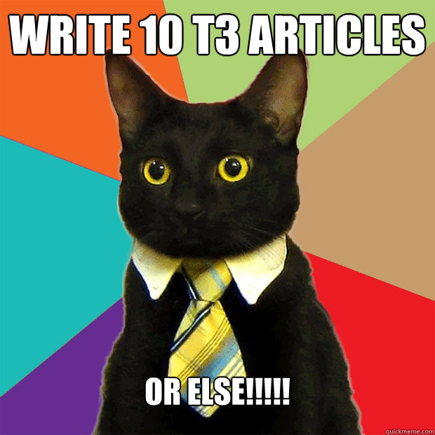 Write 10 T3 ARticles OR ELSE!!!!!  Business Cat