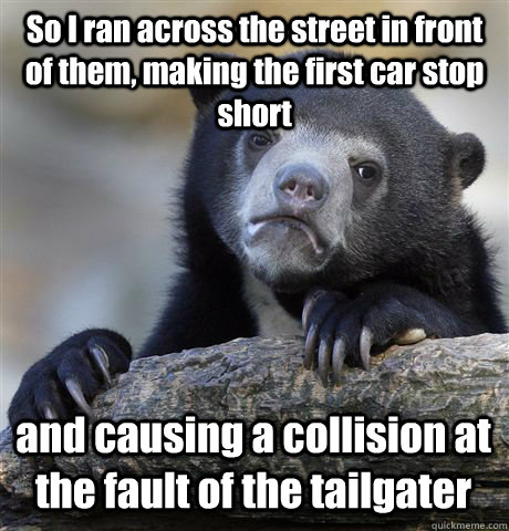 So I ran across the street in front of them, making the first car stop short and causing a collision at the fault of the tailgater - So I ran across the street in front of them, making the first car stop short and causing a collision at the fault of the tailgater  Confession Bear