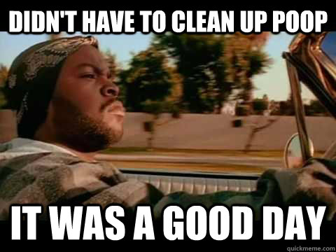 Didn't have to clean up poop IT WAS A GOOD DAY  ice cube good day