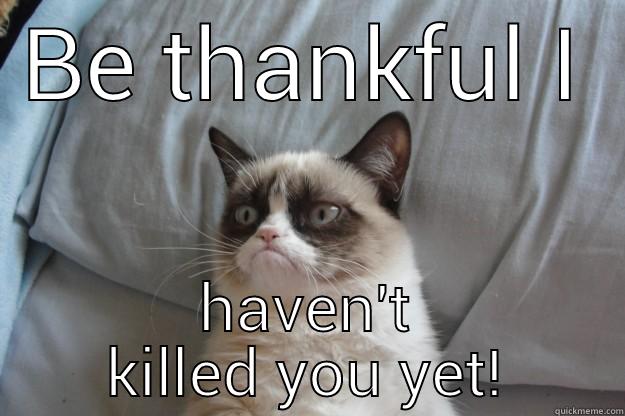 BE THANKFUL I HAVEN'T KILLED YOU YET! Grumpy Cat