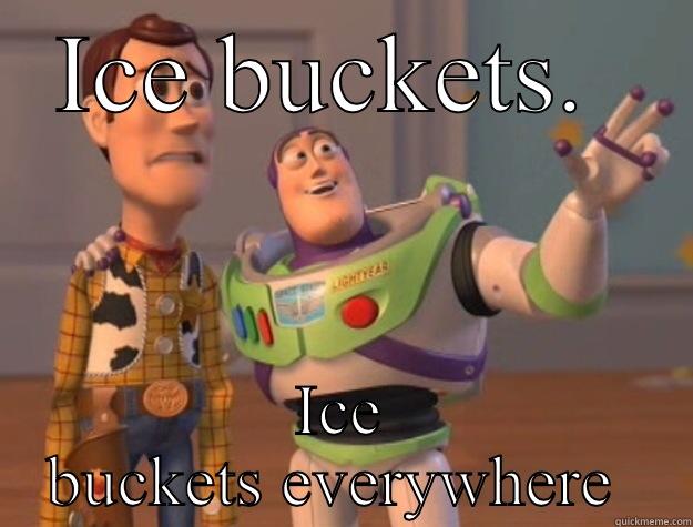 ICE BUCKETS.  ICE BUCKETS EVERYWHERE  Toy Story