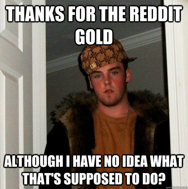 Thanks for the Reddit Gold although I have no idea what that's supposed to do?  Scumbag Steve