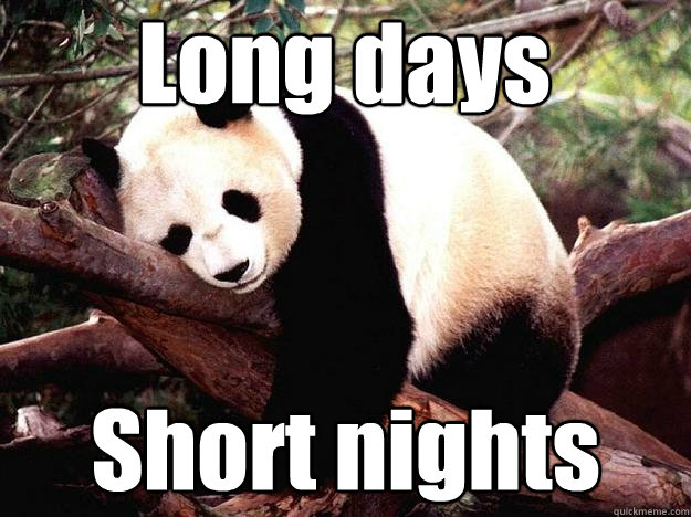 Long days Short nights  Procrastination Panda