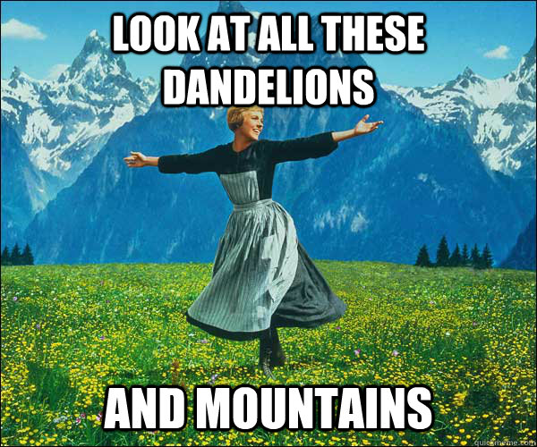 look at all these dandelions and mountains  Sound of Music