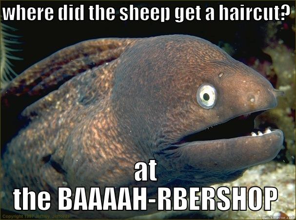 WHERE DID THE SHEEP GET A HAIRCUT? AT THE BAAAAH-RBERSHOP Bad Joke Eel