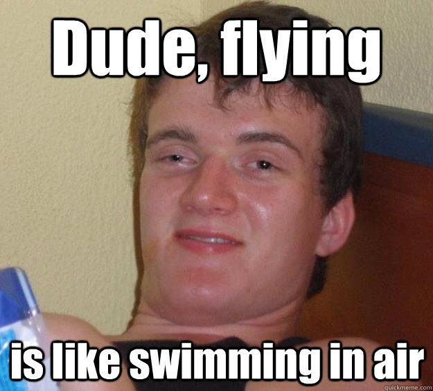 Dude, flying  is like swimming in air - Dude, flying  is like swimming in air  10 Guy