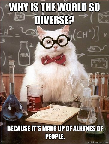 Why is the world so diverse? Because it's made up of alkynes of people.  Chemistry Cat