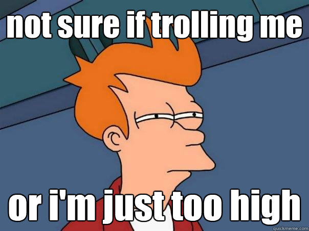 not sure if trolling me or i'm just too high  Futurama Fry