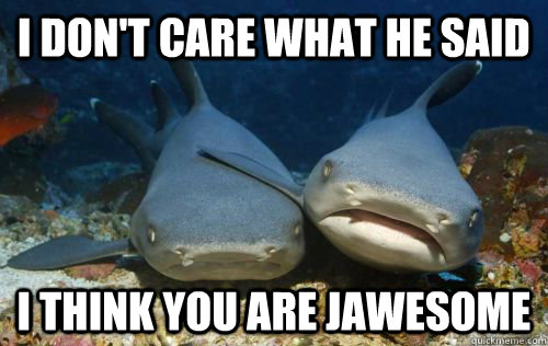 I don't care what he said i think you are jawesome  Compassionate Shark Friend