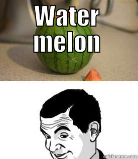 WATER MELON  Misc