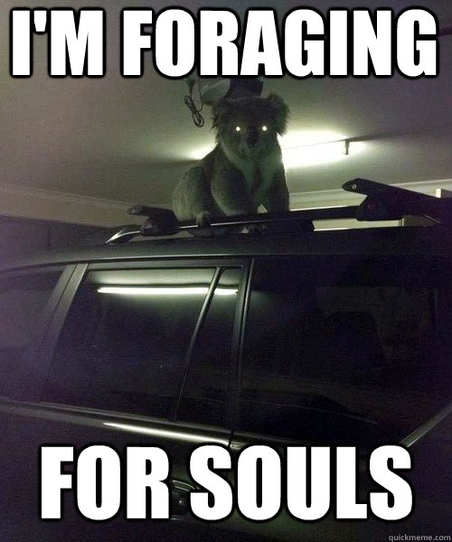 I'm foraging For souls  