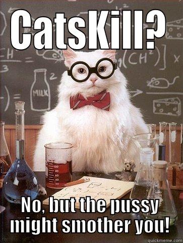 CATSKILL? NO, BUT THE PUSSY MIGHT SMOTHER YOU! Chemistry Cat