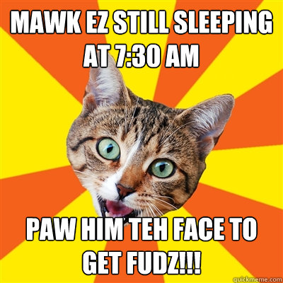 Mawk ez still sleeping at 7:30 am Paw him teh face to get fudz!!!  Bad Advice Cat