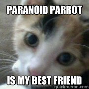 Paranoid Parrot Is my best friend  