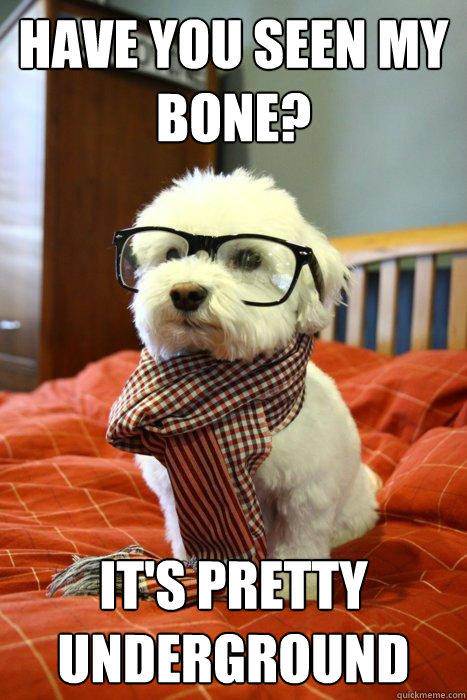 Have you seen my bone? It's pretty underground  Hipster Dog