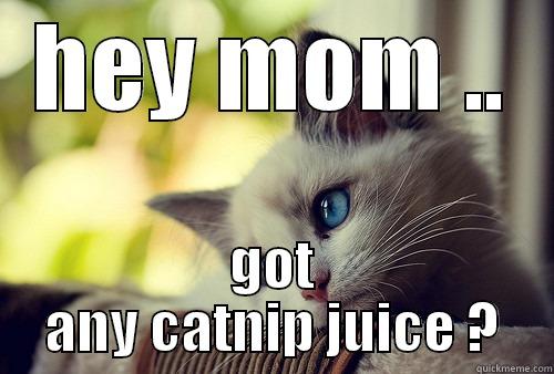 where's mine - HEY MOM .. GOT ANY CATNIP JUICE ? First World Problems Cat